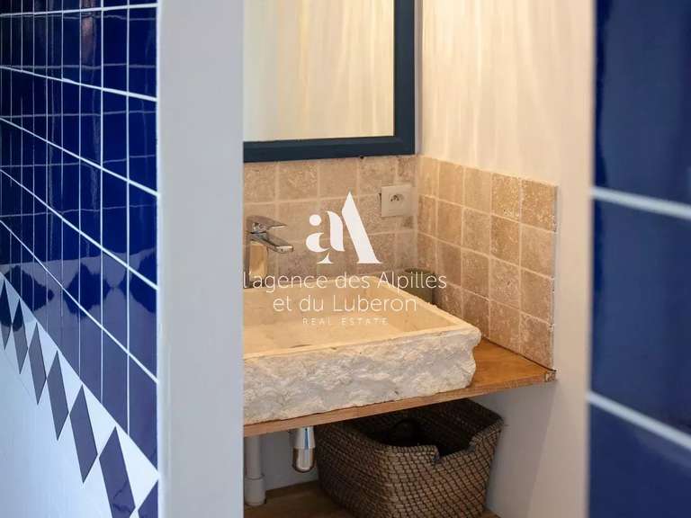 House Saint-Étienne-du-Grès - 9 bedrooms - 500m²