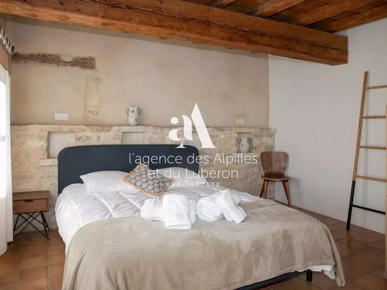 House Saint-Étienne-du-Grès - 9 bedrooms - 500m²