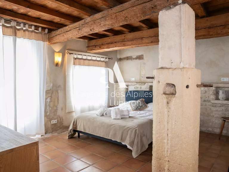 House Saint-Étienne-du-Grès - 9 bedrooms - 500m²