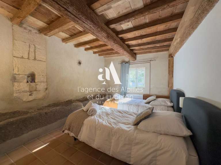 House Saint-Étienne-du-Grès - 9 bedrooms - 500m²