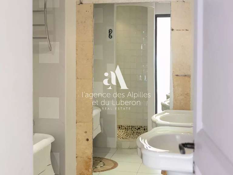 House Saint-Étienne-du-Grès - 9 bedrooms - 500m²