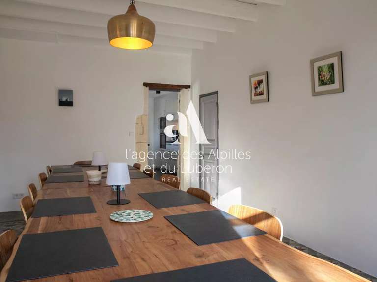 House Saint-Étienne-du-Grès - 9 bedrooms - 500m²