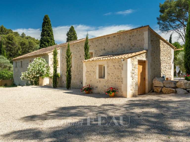 Maison Saint-Étienne-du-Grès - 5 chambres - 408m²