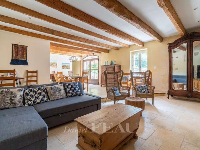 Maison Saint-Étienne-du-Grès - 5 chambres - 408m²