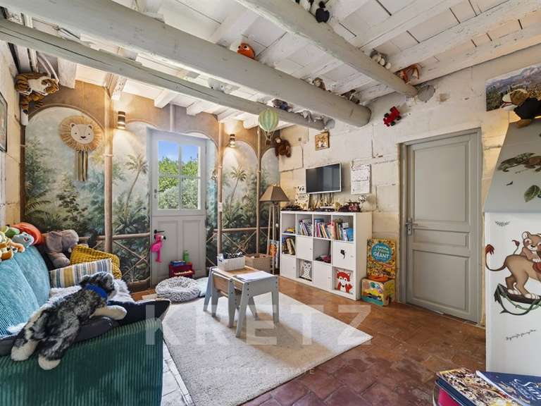 Maison Saint-Étienne-du-Grès - 8 chambres - 495m²