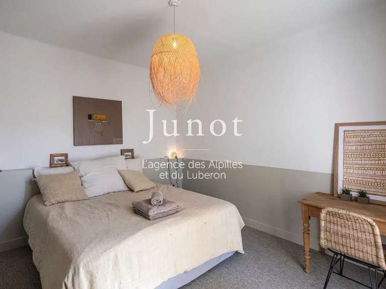 House Saint-Étienne-du-Grès - 4 bedrooms - 2000m²