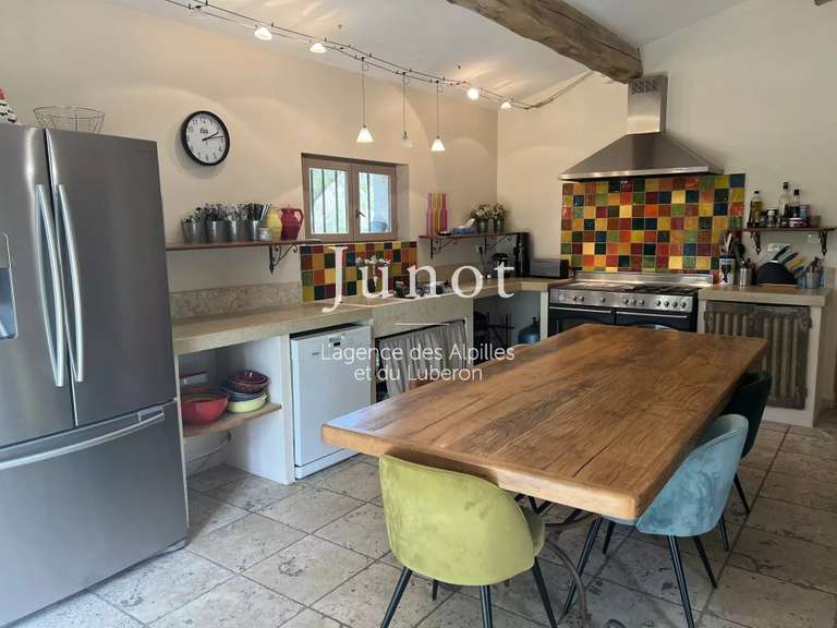 House Saint-Étienne-du-Grès - 7 bedrooms - 400m²