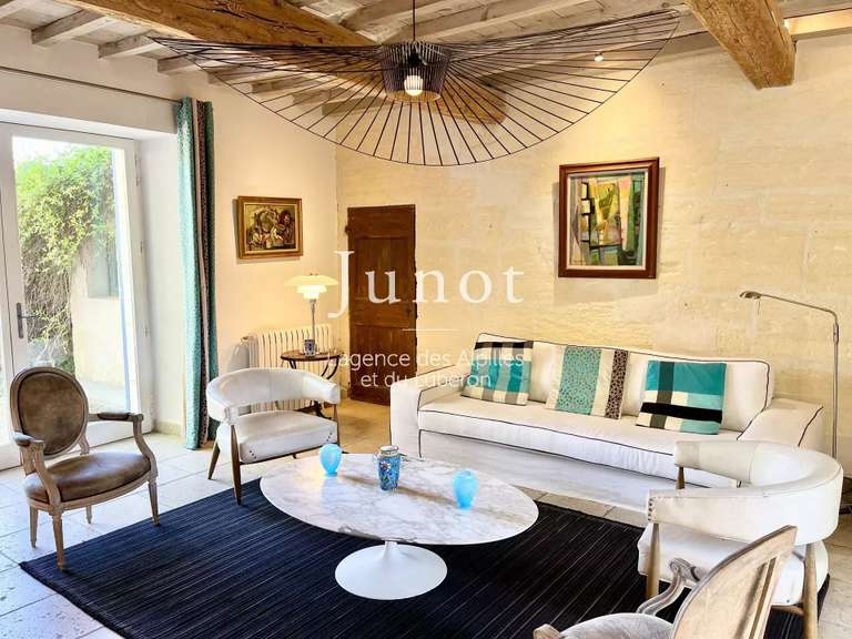 House Saint-Étienne-du-Grès - 7 bedrooms - 400m²