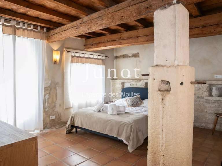 Maison Saint-Étienne-du-Grès - 9 chambres - 500m²
