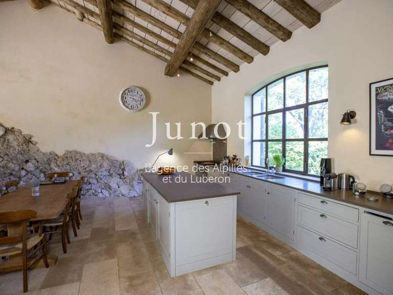 Maison Saint-Étienne-du-Grès - 5 chambres - 275m²