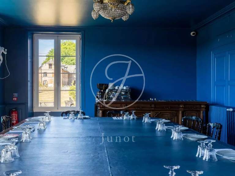 Château Saint-Fargeau - 10 chambres - 500m²