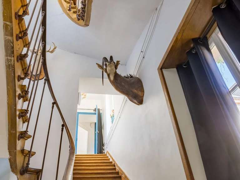 Castle Saint-Fargeau - 10 bedrooms - 500m²