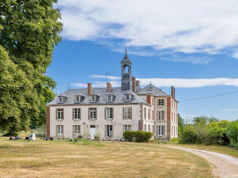 Castle Saint-Fargeau - 10 bedrooms - 500m²