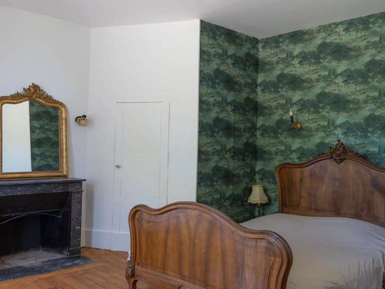 Castle Saint-Fargeau - 10 bedrooms - 500m²