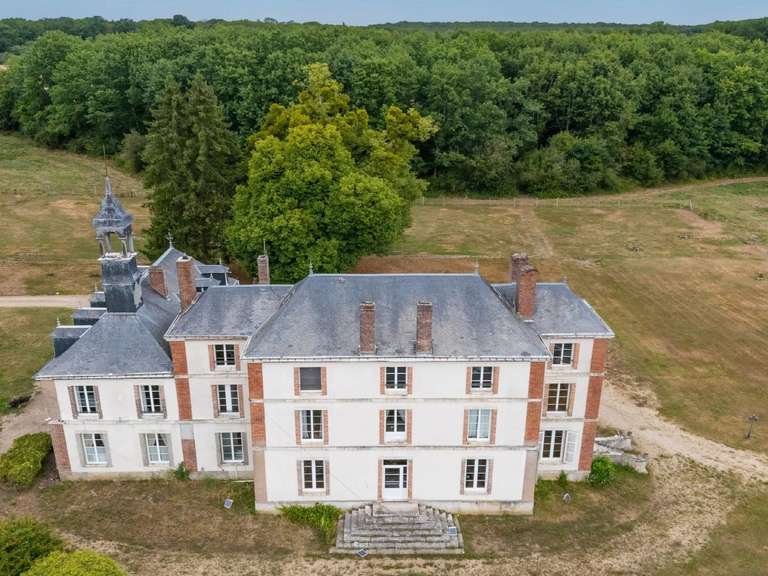 Castle Saint-Fargeau - 10 bedrooms - 500m²