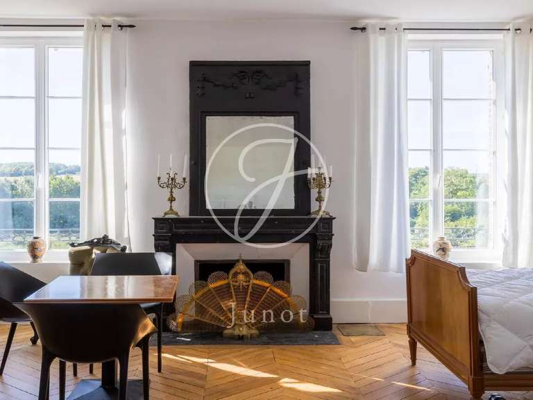 Château Saint-Fargeau - 10 chambres - 500m²