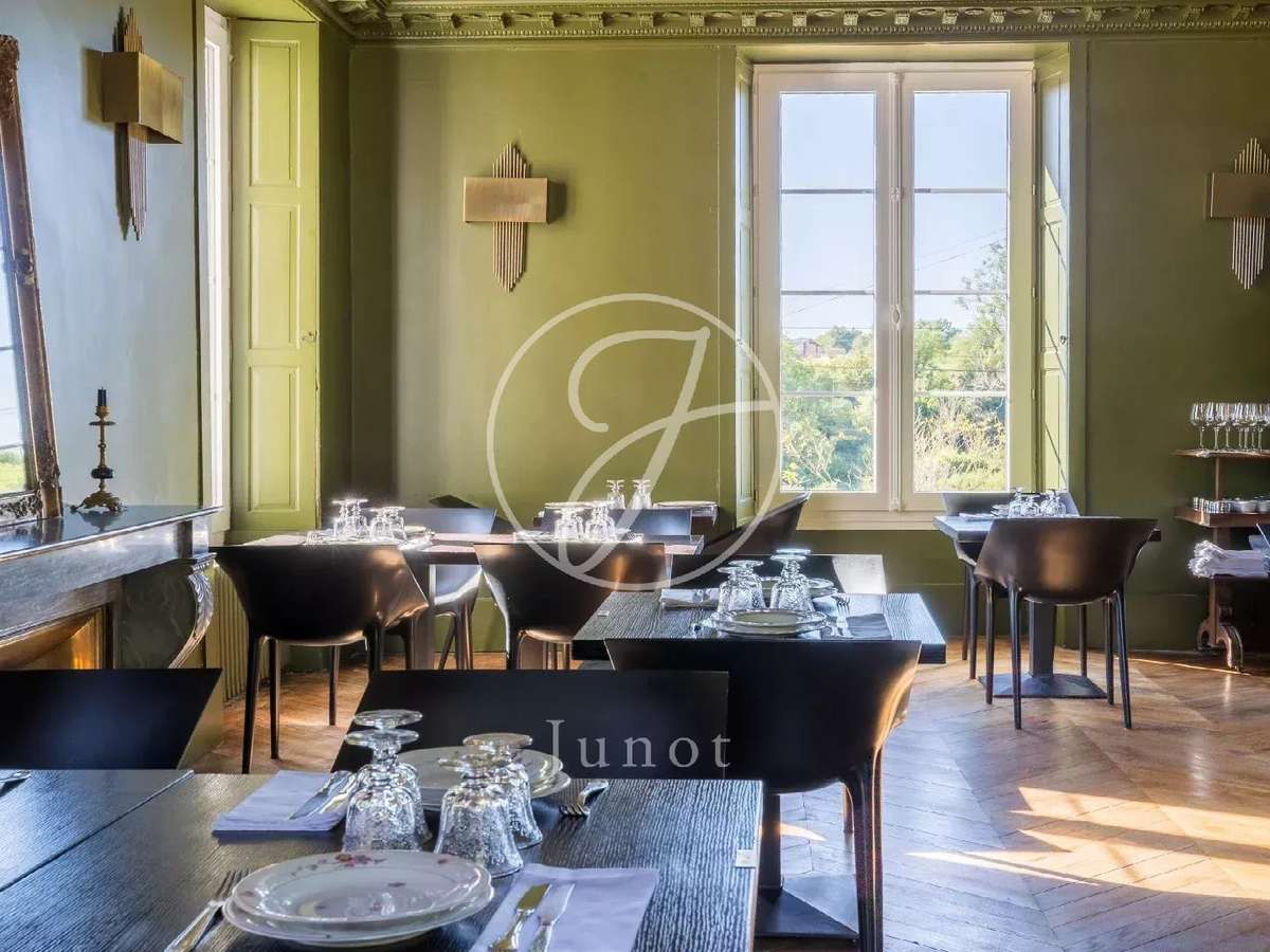 Château Saint-Fargeau