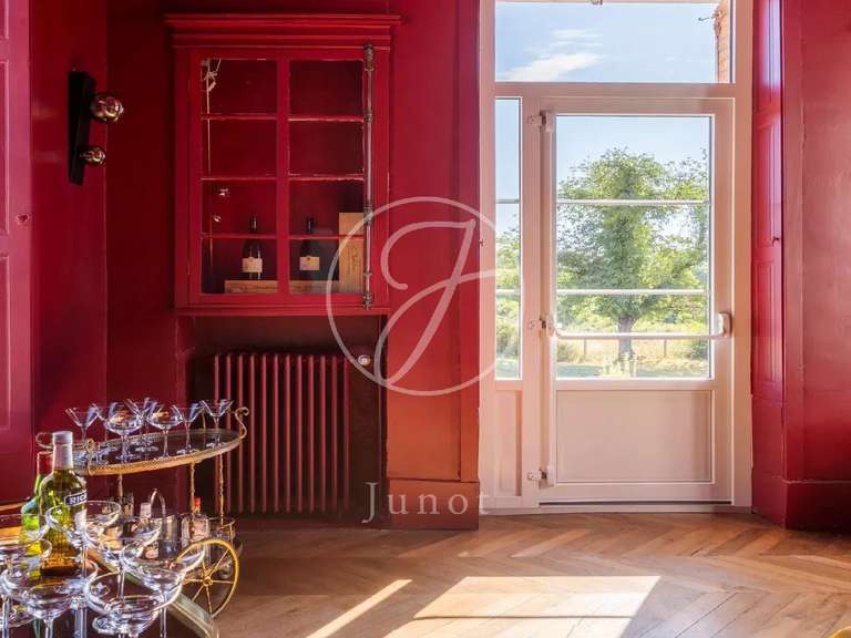 Château Saint-Fargeau - 10 chambres - 500m²