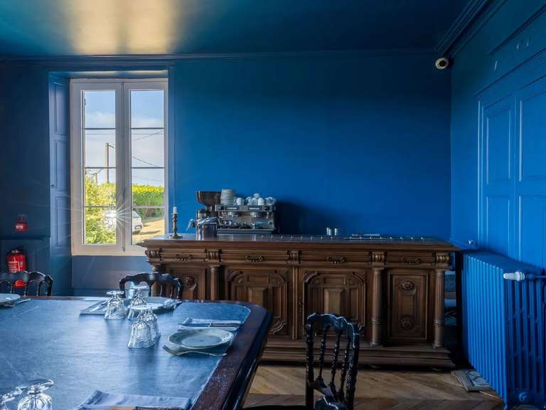 Castle Saint-Fargeau - 10 bedrooms - 500m²