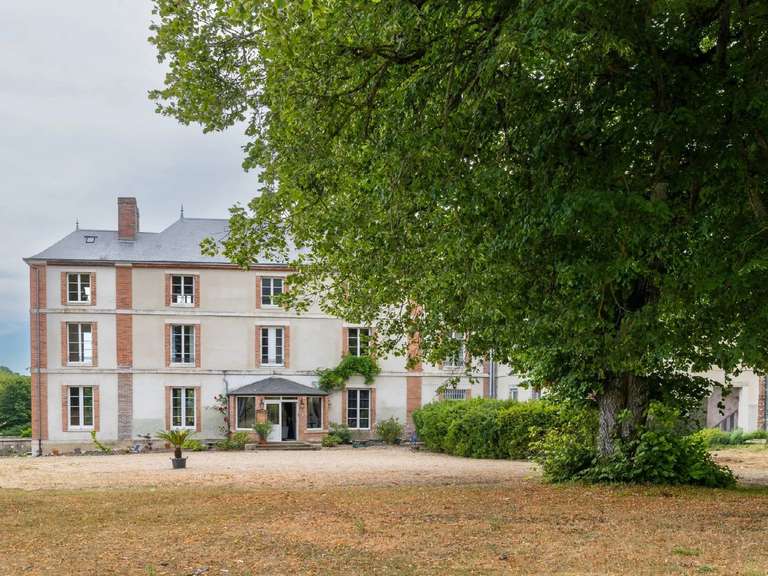 Castle Saint-Fargeau - 10 bedrooms - 500m²