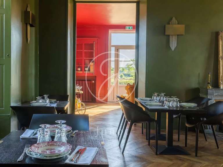 Château Saint-Fargeau - 10 chambres - 500m²