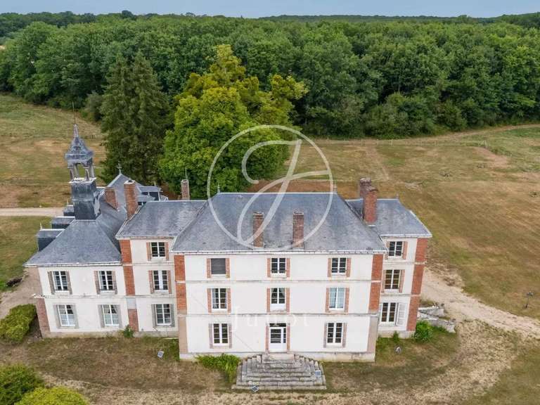 Château Saint-Fargeau - 10 chambres - 500m²