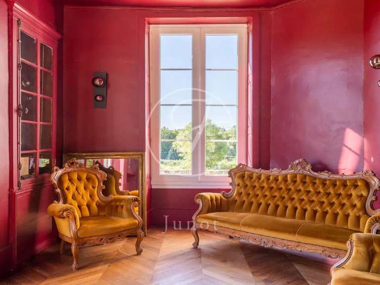 Château Saint-Fargeau - 10 chambres - 500m²