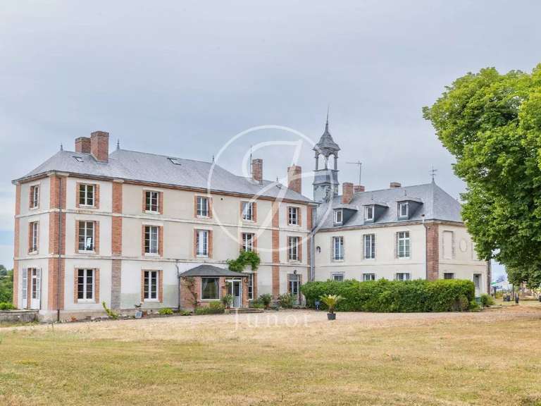 Château Saint-Fargeau - 10 chambres - 500m²