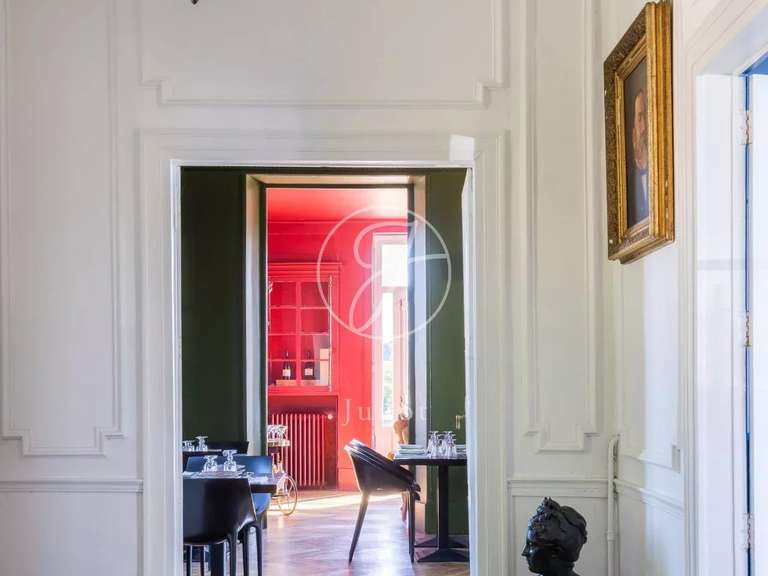 Château Saint-Fargeau - 10 chambres - 500m²