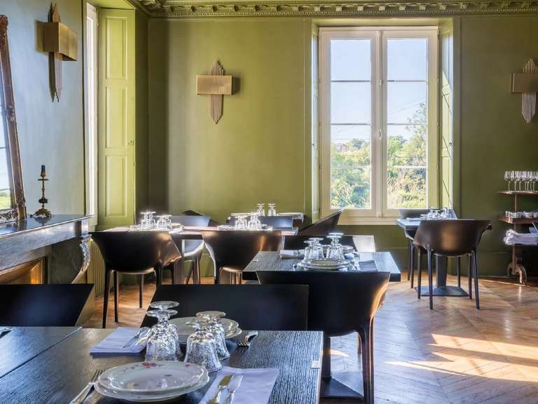 Castle Saint-Fargeau - 10 bedrooms - 500m²