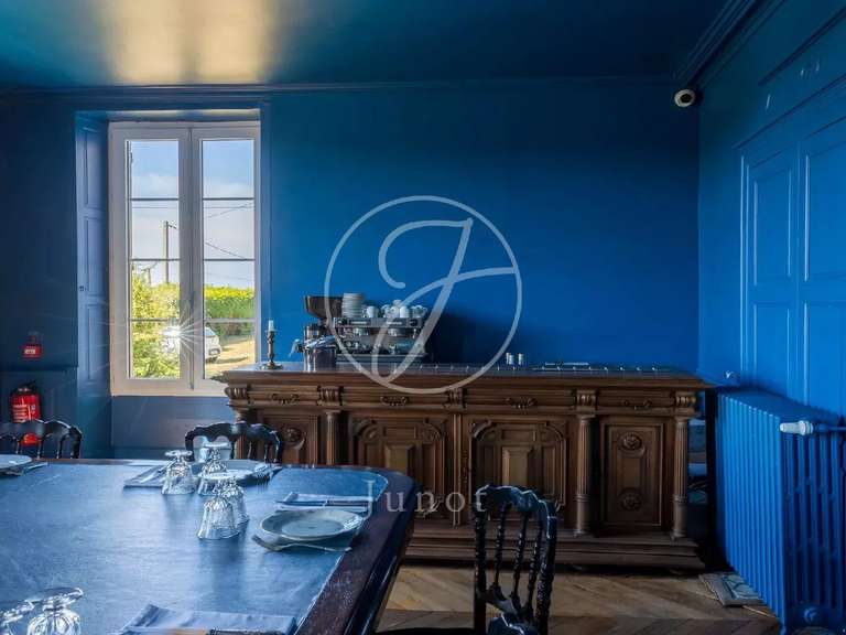 Château Saint-Fargeau - 10 chambres - 500m²