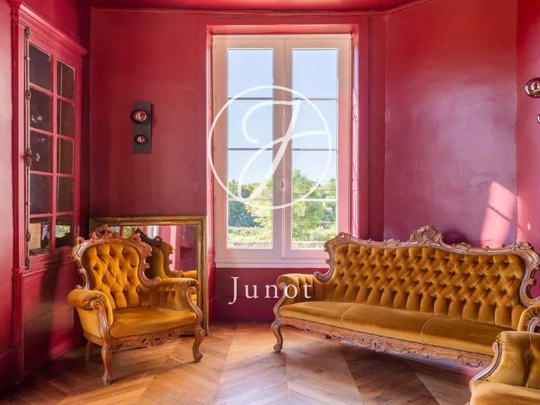 Château Saint-Fargeau - 10 chambres - 500m²