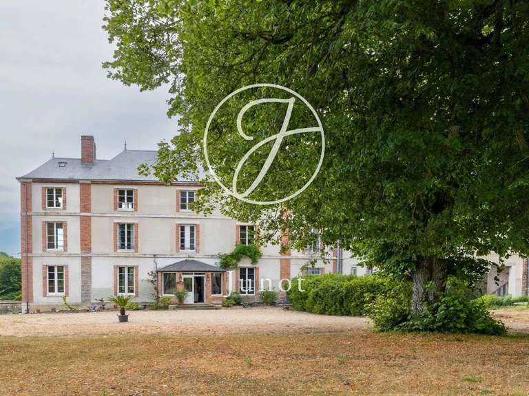 Château Saint-Fargeau - 10 chambres - 500m²