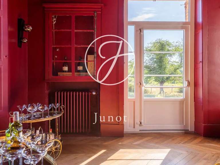 Château Saint-Fargeau - 10 chambres - 500m²