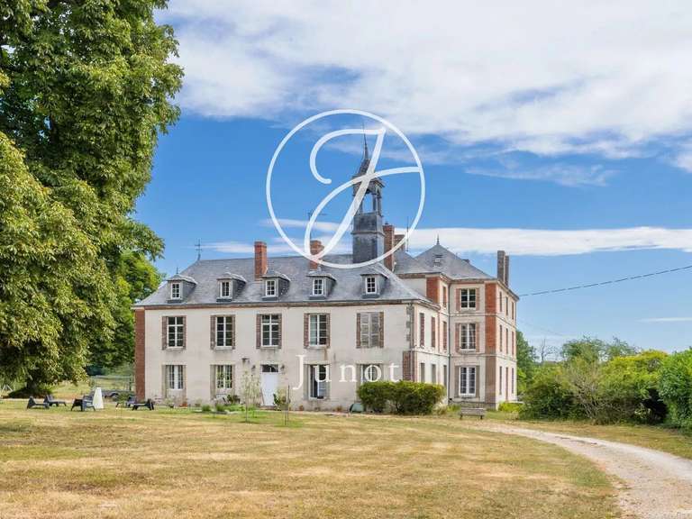 Château Saint-Fargeau - 10 chambres - 500m²
