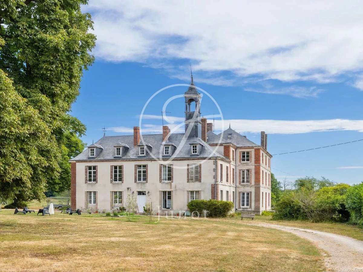 Castle Saint-Fargeau