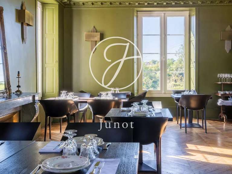 Château Saint-Fargeau - 10 chambres - 500m²