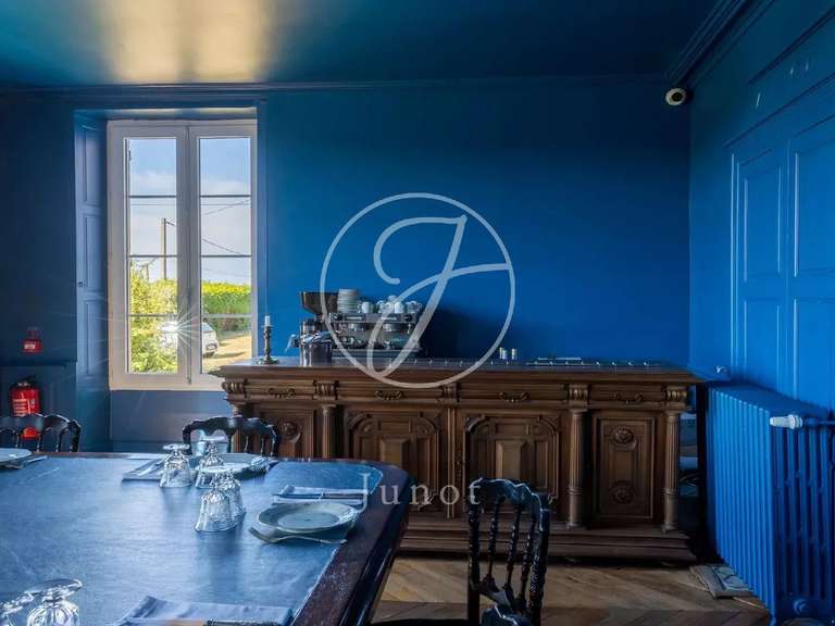 Château Saint-Fargeau - 10 chambres - 500m²