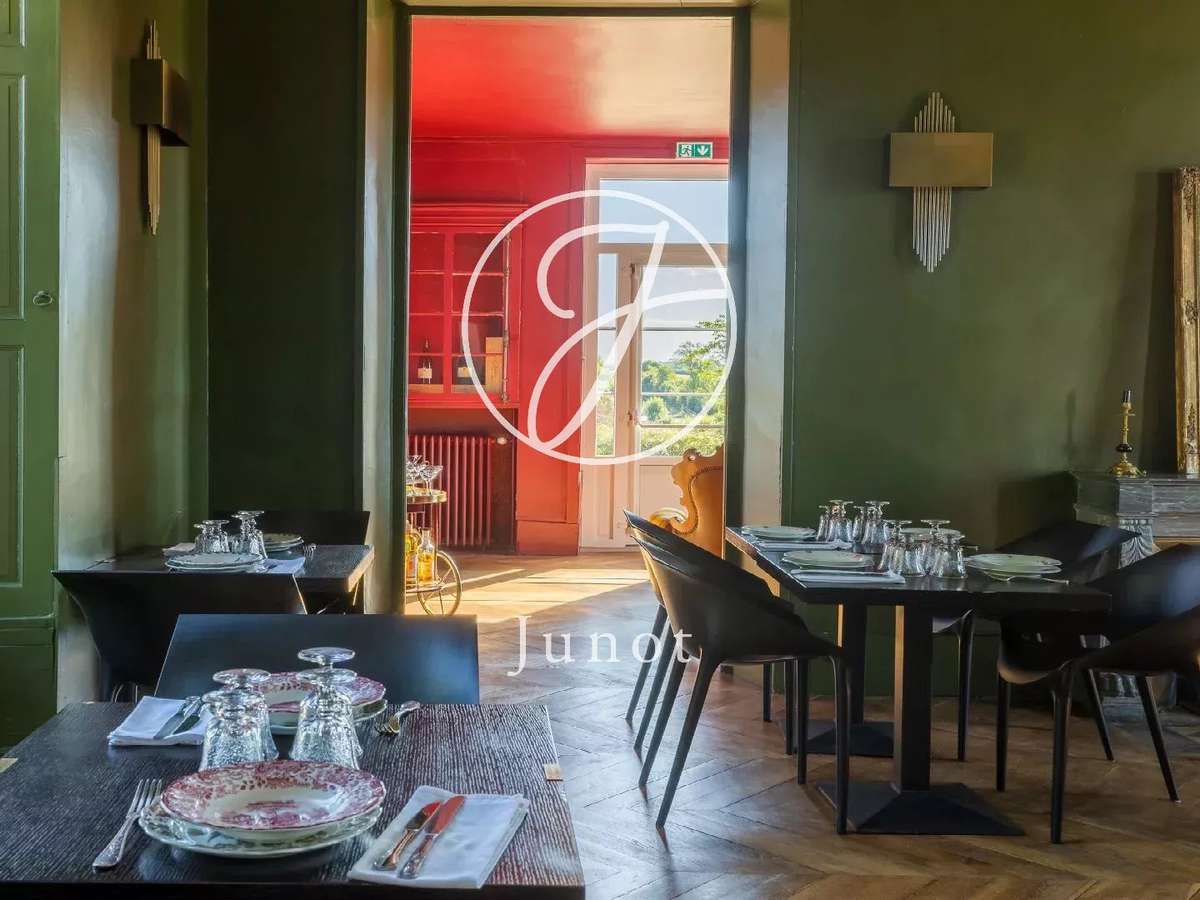 Château Saint-Fargeau