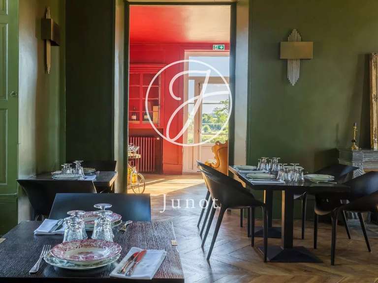 Château Saint-Fargeau - 10 chambres - 500m²