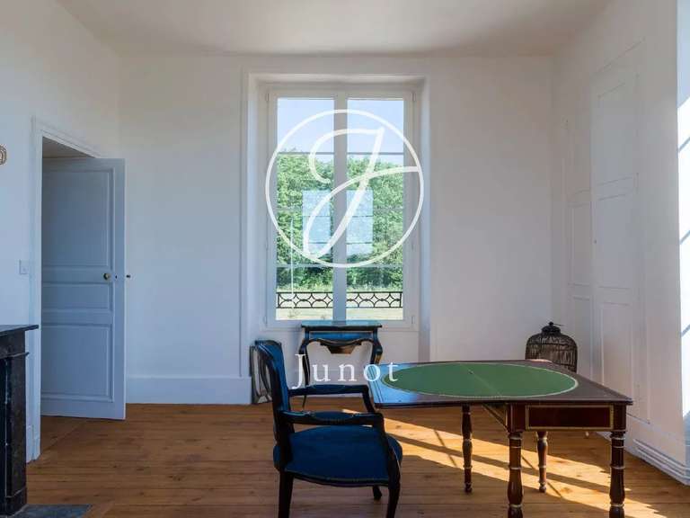 Château Saint-Fargeau - 10 chambres - 500m²