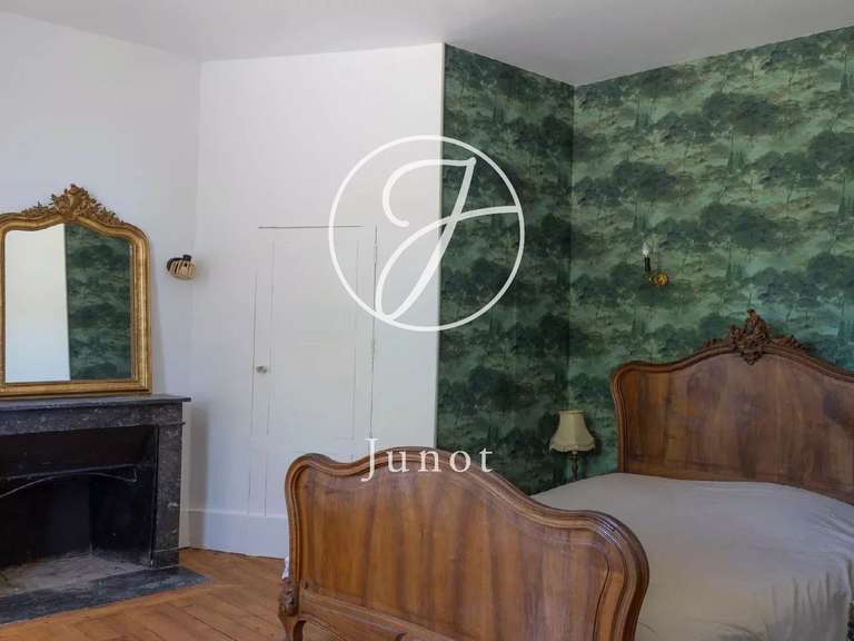 Château Saint-Fargeau - 10 chambres - 500m²