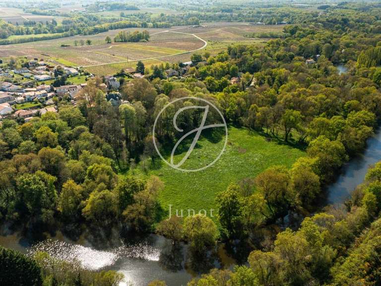 Maison Saint-Fiacre-sur-Maine - 8 chambres - 477m²