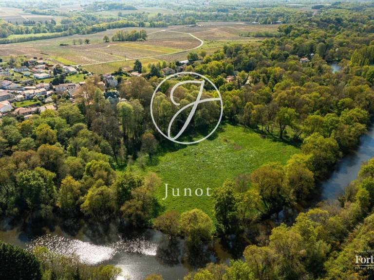 Maison Saint-Fiacre-sur-Maine - 8 chambres - 477m²