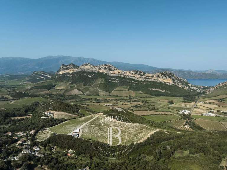 Appartement avec Vue sur mer Saint-Florent - 3 chambres - 108m²