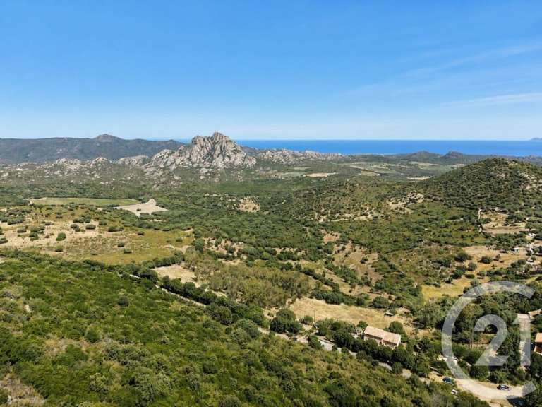 Maison Saint-Florent - 4 chambres - 318m²