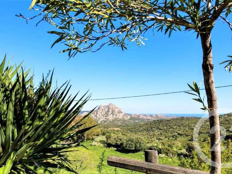 Maison Saint-Florent - 11 chambres - 438m²