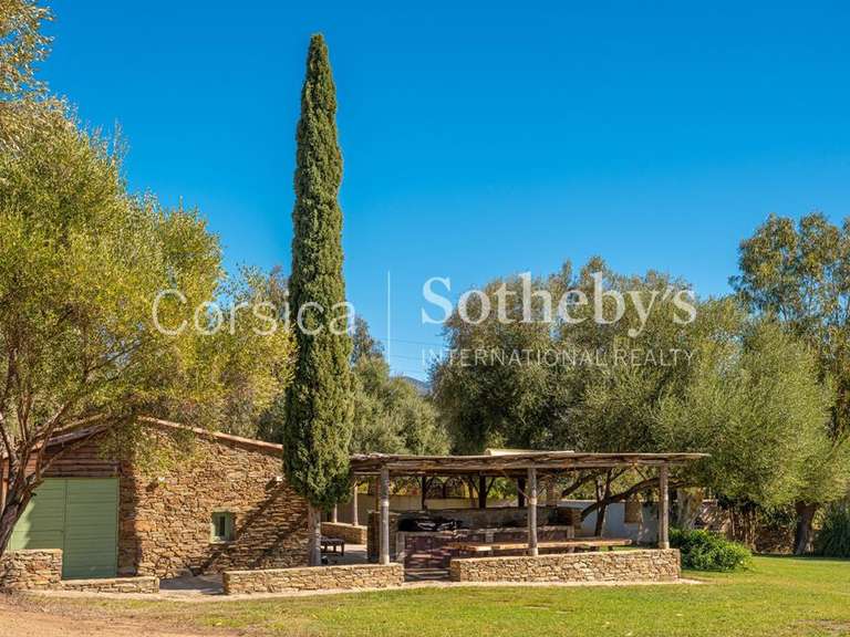 House Saint-Florent - 6 bedrooms - 500m²