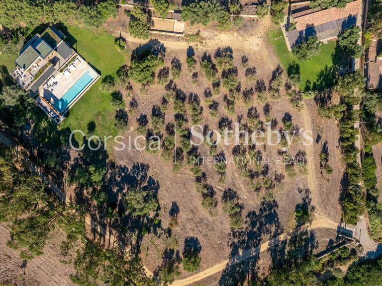House Saint-Florent - 6 bedrooms - 500m²