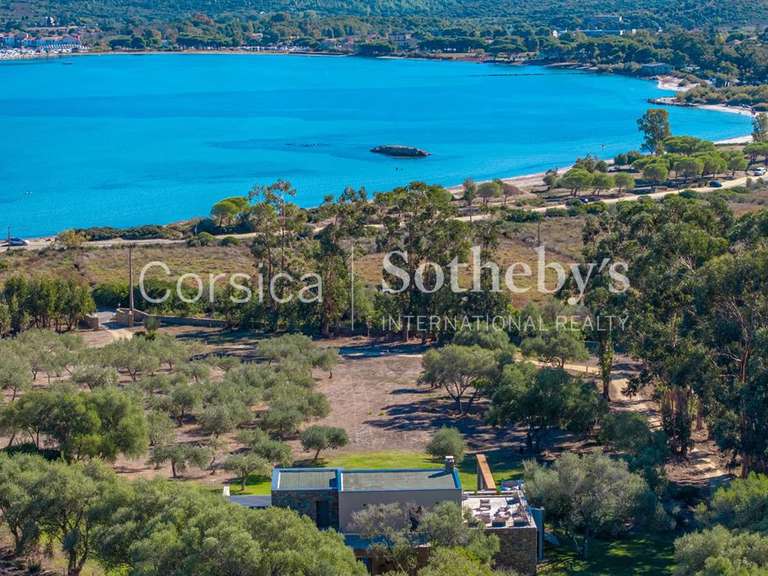 House Saint-Florent - 6 bedrooms - 500m²